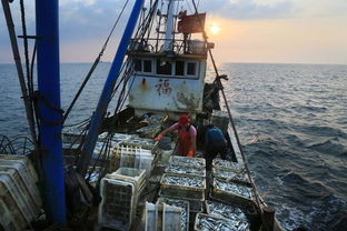 四、 海边的夕阳：浪漫与诗意并存