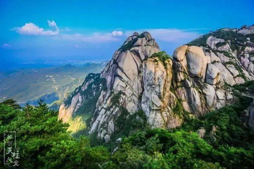 血泪建议：别跟自己过不去