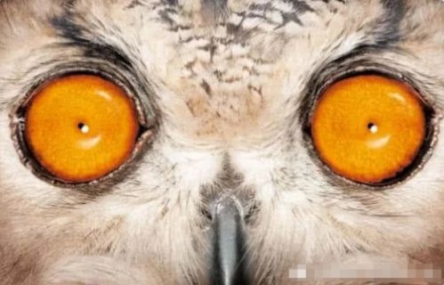 不安的预感与风水化解