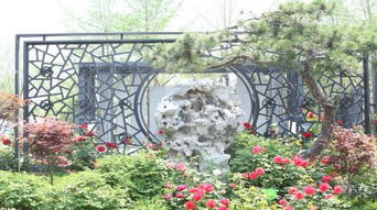 团购是什么？能吃吗？