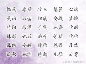 一、常见的草字头“明星”——它们到底能不能用？