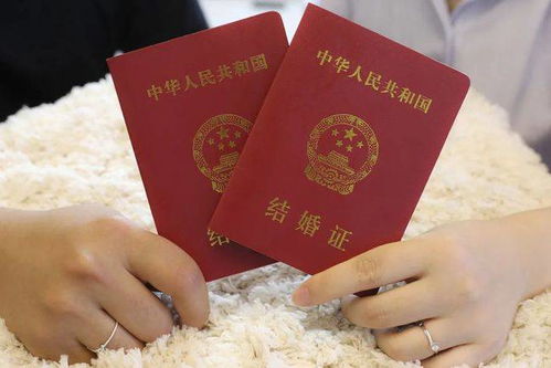领证新风尚，婚证文化热爆全网