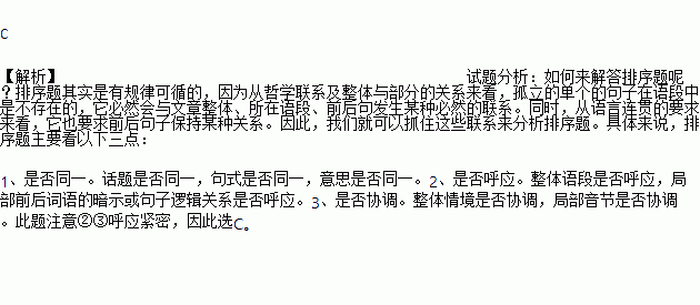 天命玄黄，地载五行：浅谈生肖与命运