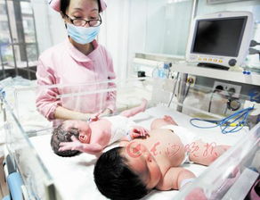震惊！6斤6两胖小子竟能改变全家命运？2026年这些禁忌必须知道