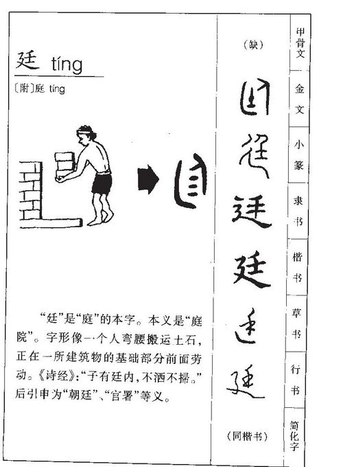廷字取名是吉凶如何？廷字在名字中更适合男孩还是女孩？