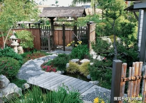 震惊！你家院子里的水竟然藏着这么多秘密？不看后悔一辈子！