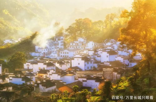 红荔村，一场噩梦般的邂逅