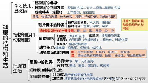 一、 乱七八糟的择日原则（别问我为什么）