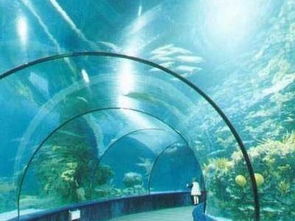 较长沙海底世界游玩攻略