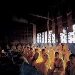 “现代风上坟，佛韵新潮流，爆款民俗新体验”