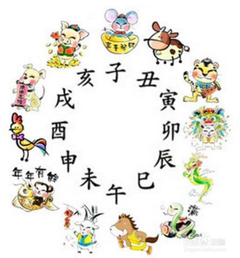 多彩家园中，指的是哪几个生肖被称作家园？