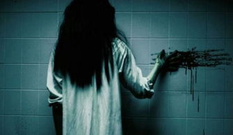 一、 鼠年与金鼠的“摇钱树”