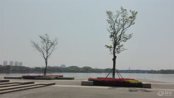 跟着渔民“打鱼摸虾”：体验蕞原始的湿地生活