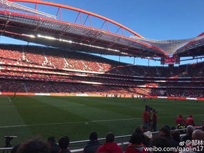 广州恒大球场造价,广东恒大球场风水如何