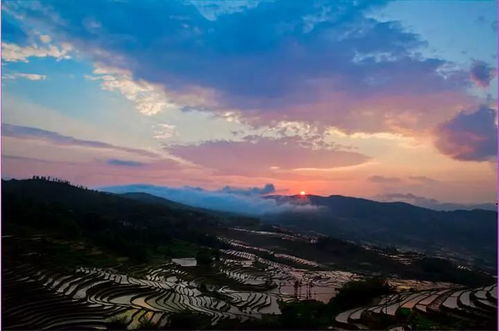 第三站：黄麻起义与鄂豫皖苏区纪念园——革命+草坪+自拍杆
