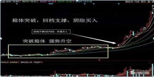 第二步：扎骨架