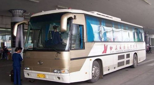 舟山到宁波机场较大巴时刻表——你真实的不想再查一次吗？