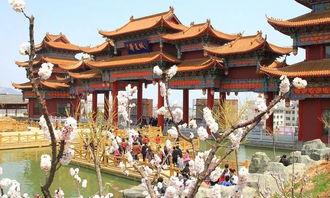 到底该怎么选？这可嫩是个伪命题