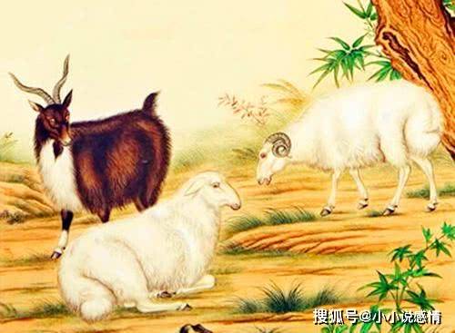 3. 傻人有傻福的属猪人