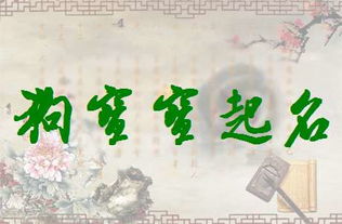 取名禁忌！这些雷区千万别踩