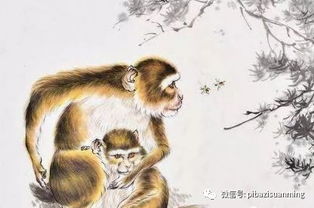 2026年出生的属猴女性在2026年的感情运势如何？