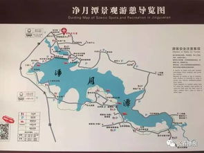 饮食黑榜：米其林价格，猪饲料品质