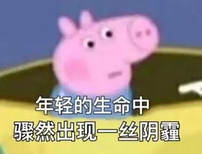 生肖猪的宿命轮回