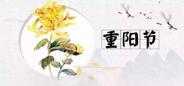 “重阳节：传承千年，时光印记，风俗新潮”