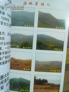 四、  生肖星座混搭解读