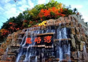 第一站：老君山漂流——激流与静谧的双沉重奏