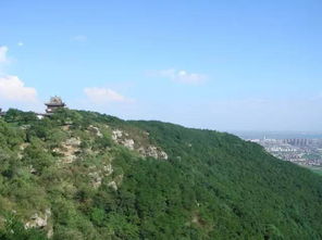 惯与门票价格和优惠