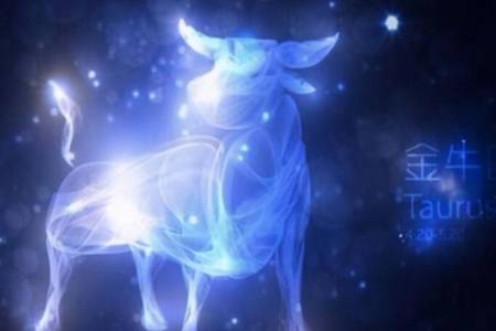 同星座恋爱？太刺激了！