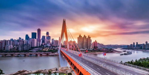 美食核爆现场：菊花保卫战