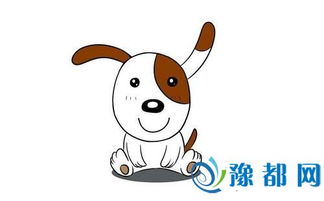 1982年属狗43岁2026年运势如何，45岁运势又意味着什么？