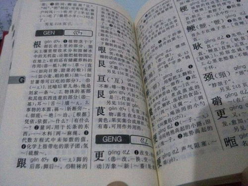 一、 谱字本身的历史持续发展与含义