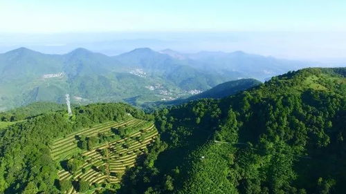 云浮牧场， 那片被遗忘的世外桃源
