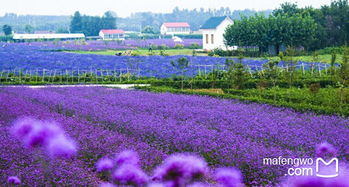 游玩？不就是走路加拍照嘛！