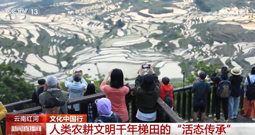 哈尼族风俗：千年梯田文化，传承农耕智慧