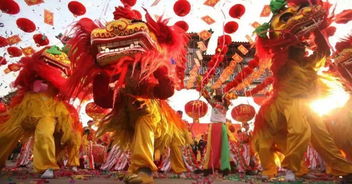 千年重阳习俗，广西文化瑰宝，传承爆款来袭！