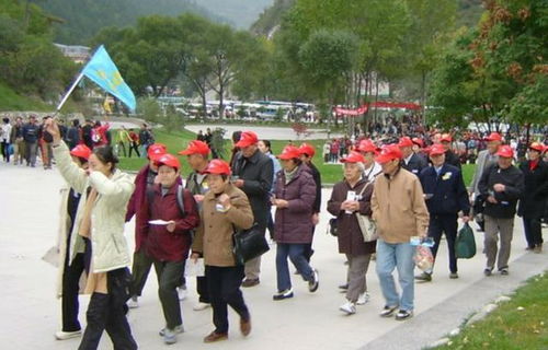 低价旅游团的真相