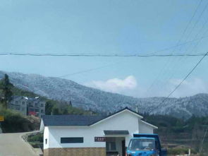 住宿奇遇记：从农家乐到鬼屋体验