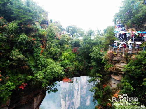 五天行程？简直是受刑指南