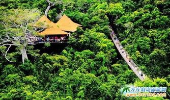 一个韭菜的自我修养