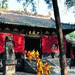 登封市：吃货的天堂