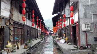 真实案例大公开