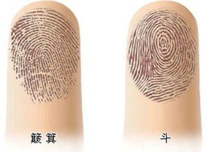 二、几个斗预示着什么？——从“一斗穷”到“十斗清福”乱弹琴版指南