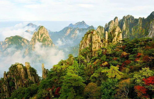 午餐时间——山中野炊的惊喜