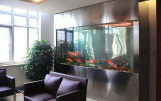 鱼缸摆放的禁忌！小心把财神爷冲走！