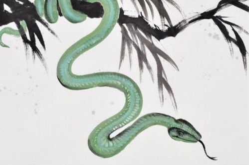 六、 属蛇的神秘族——蜿蜒而行也能直达金库