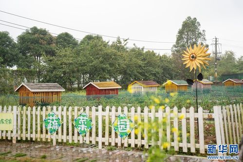 秋千荡出天际线 :